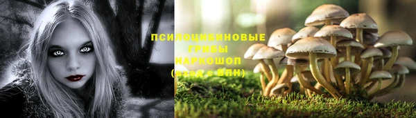 трава Алексин