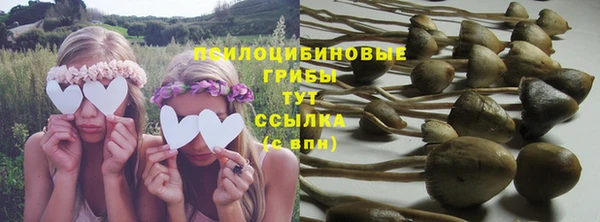 трава Алексин