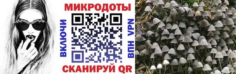 Псилоцибиновые грибы Cubensis  Дегтярск 